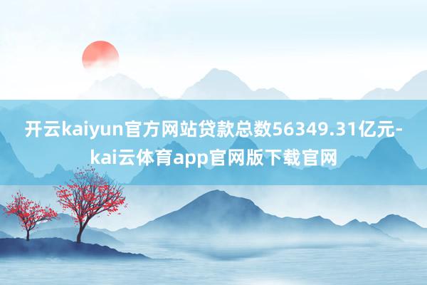 开云kaiyun官方网站贷款总数56349.31亿元-kai云体育app官网版下载官网