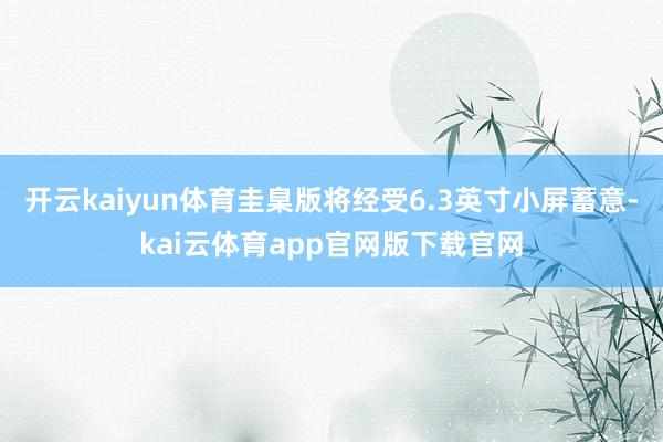 开云kaiyun体育圭臬版将经受6.3英寸小屏蓄意-kai云体育app官网版下载官网