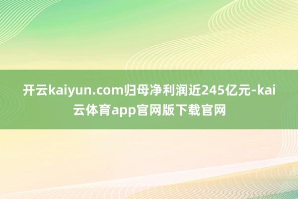 开云kaiyun.com归母净利润近245亿元-kai云体育app官网版下载官网